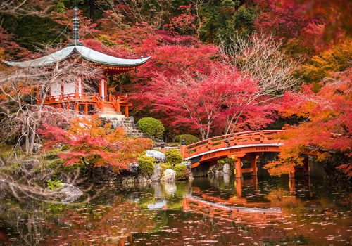 Japan_Gardens_Pond_507440